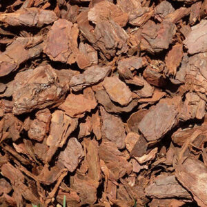 krupni braon malč od borove kore za četinare